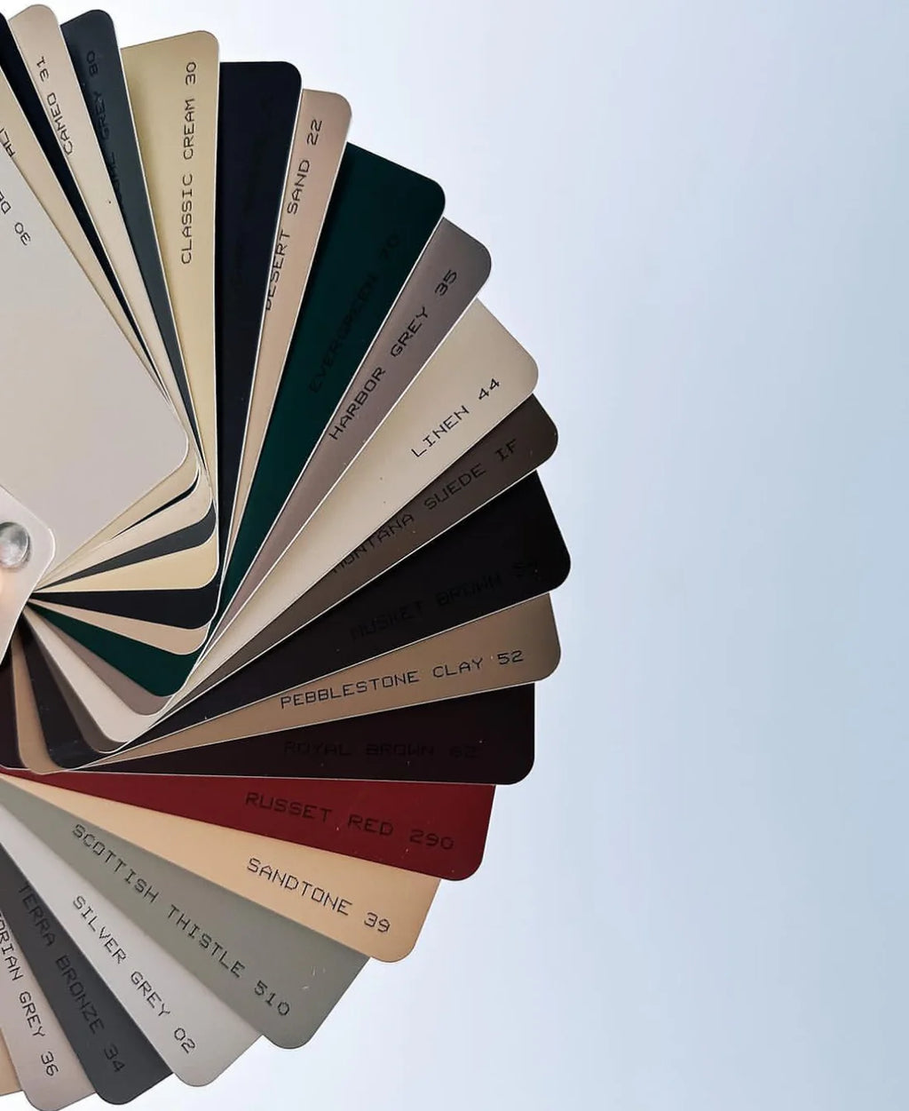 Color Sample Swatches